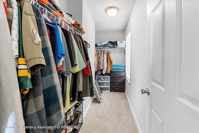 spacious closet featuring carpet