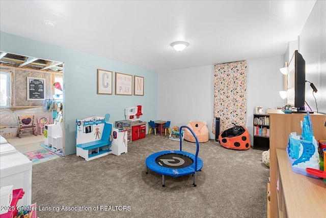 playroom featuring carpet