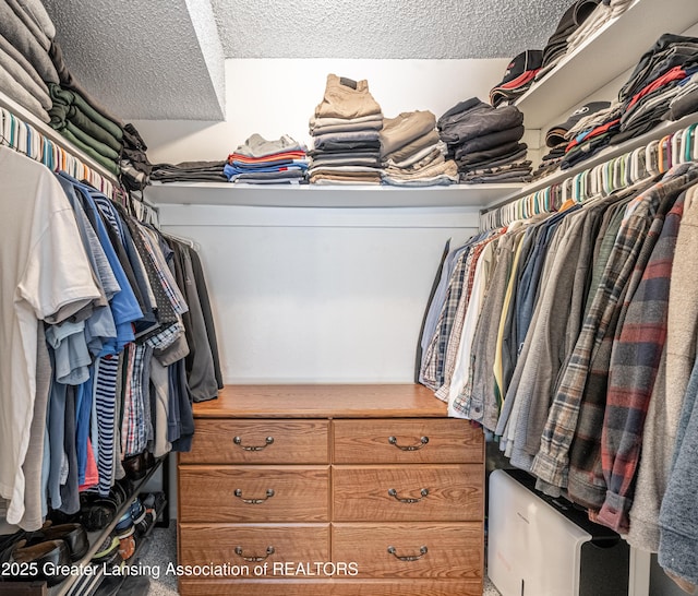 view of spacious closet