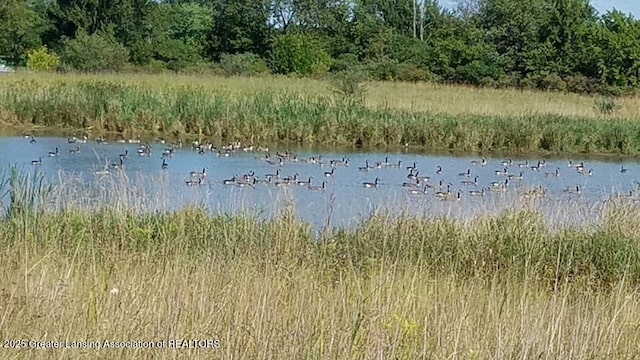 property view of water