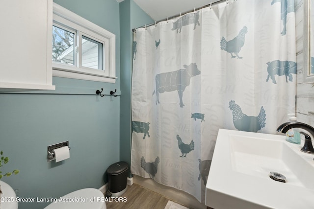 bathroom featuring a sink, toilet, and wood finished floors