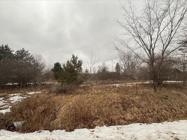 view of snow covered land