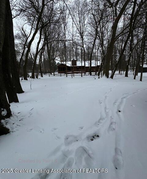 yard covered in snow featuring a garage