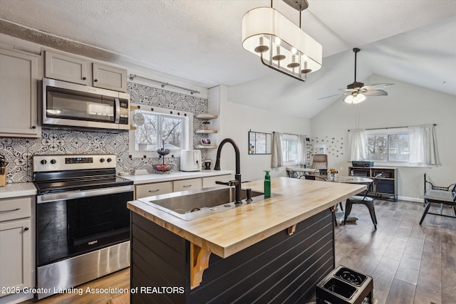 kitchen featuring appliances with stainless steel finishes, a healthy amount of sunlight, a sink, wood counters, and wood finished floors