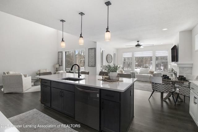 kitchen featuring a sink, dark cabinetry, open floor plan, and stainless steel dishwasher