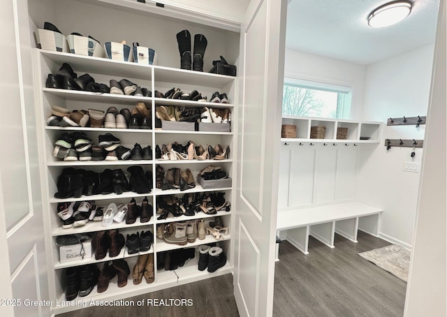 mudroom featuring wood finished floors