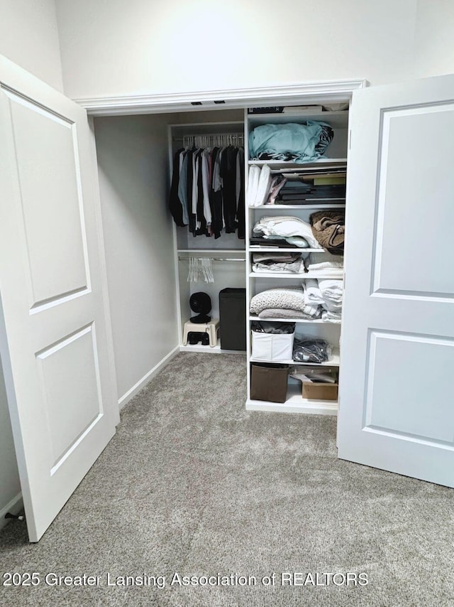 view of closet