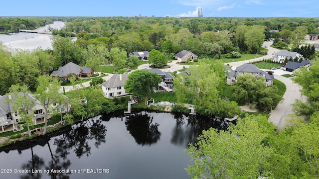 4125 Harbour Cv, Lansing, MI 48911 - aerial overview of property's location with a large body of water, nearby suburban area, and a heavily wooded area