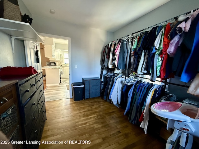 spacious closet featuring wood finished floors