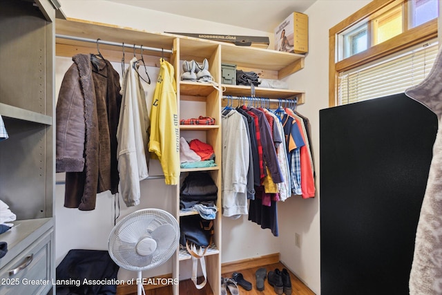 view of spacious closet