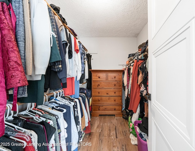 walk in closet featuring wood finished floors