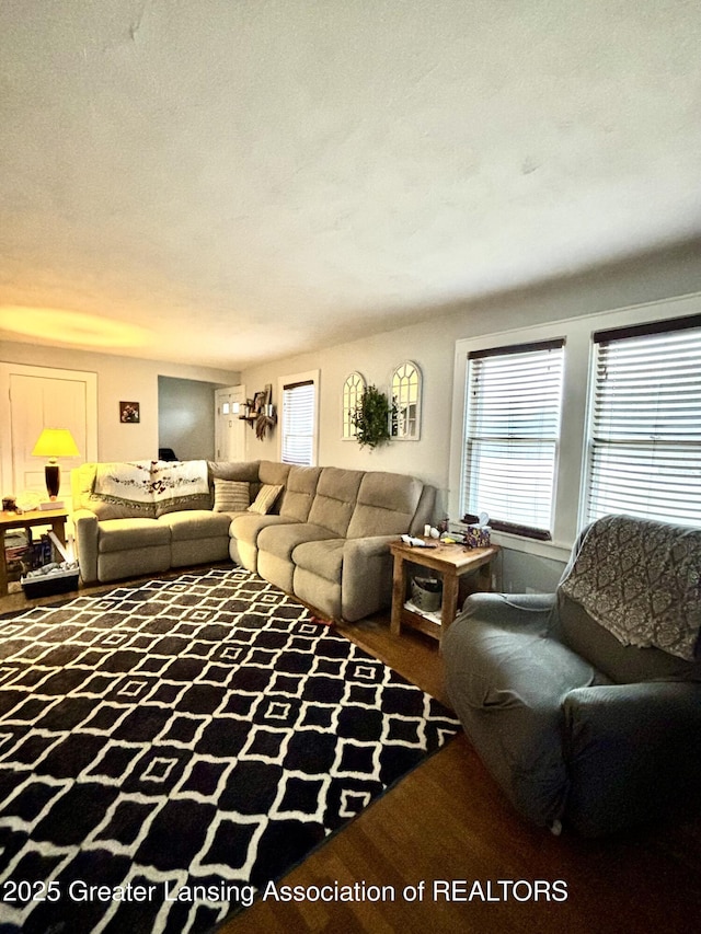 living area featuring wood finished floors