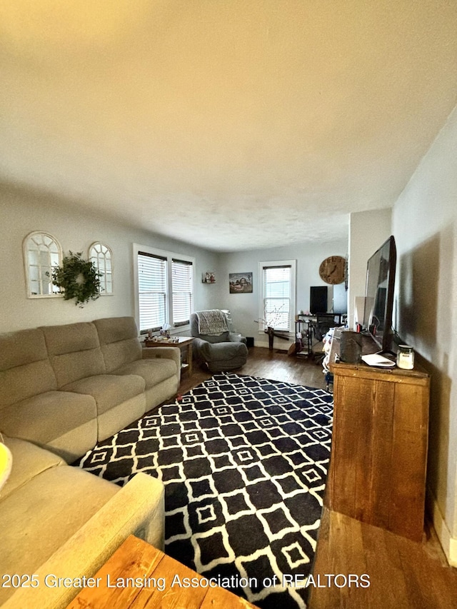 living room featuring wood finished floors