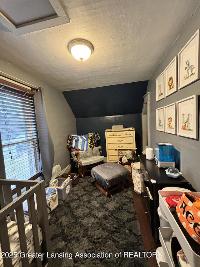 bedroom featuring a textured ceiling and lofted ceiling