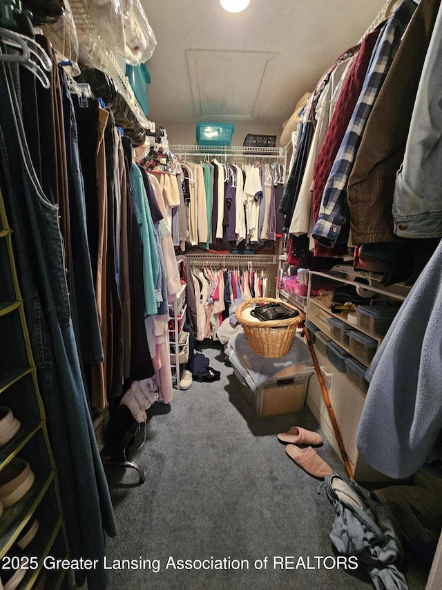 spacious closet with attic access and carpet