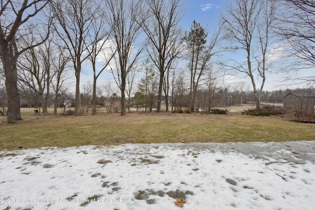 view of yard covered in snow