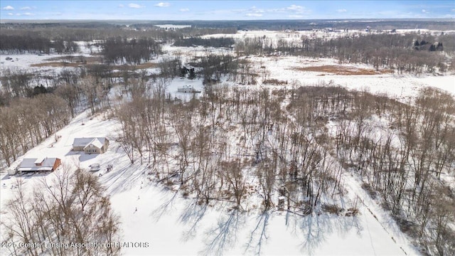 view of snowy aerial view