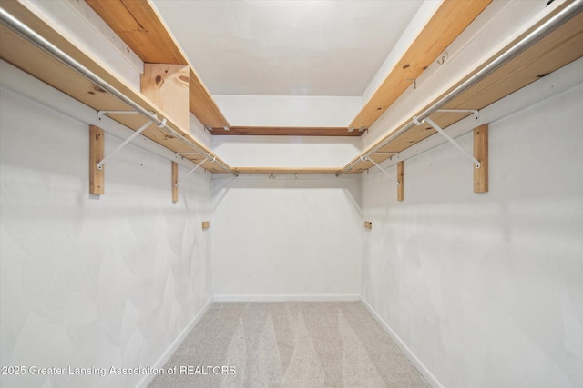 spacious closet featuring carpet floors