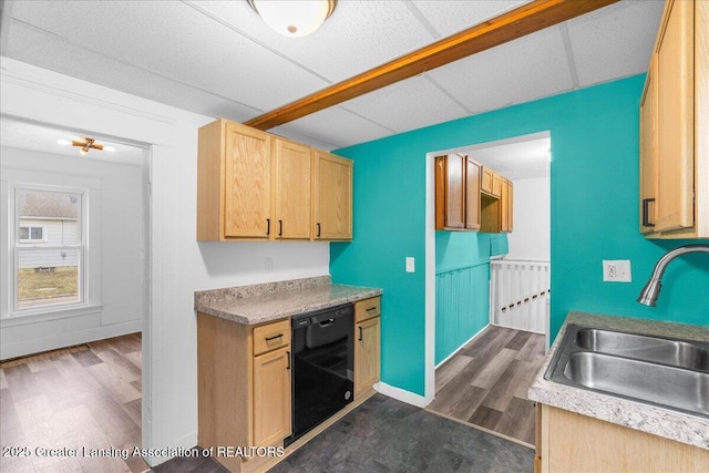 kitchen featuring dark wood finished floors, a drop ceiling, dishwasher, and a sink