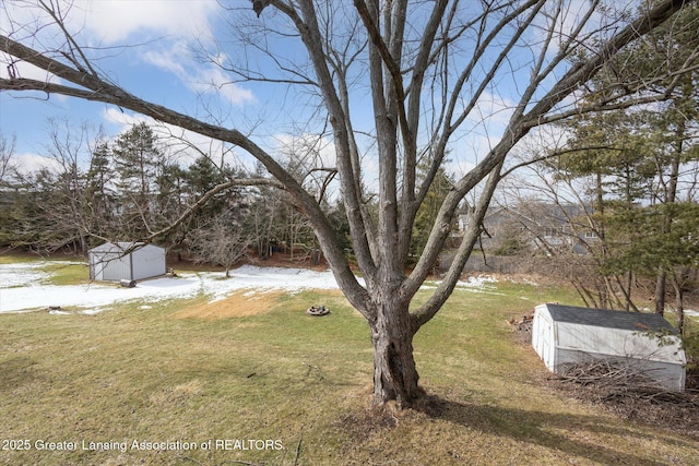 view of yard featuring an outbuilding and a shed