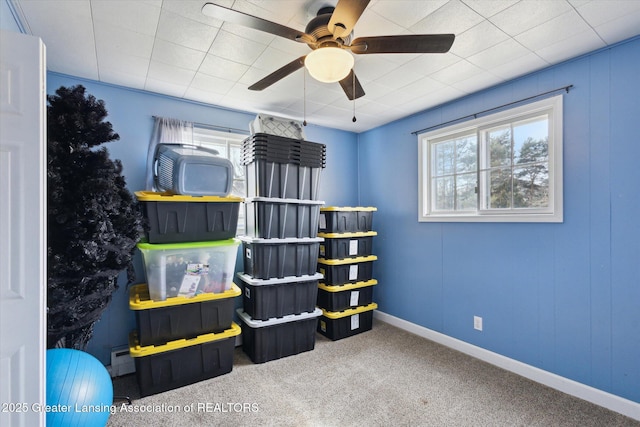 storage featuring a ceiling fan