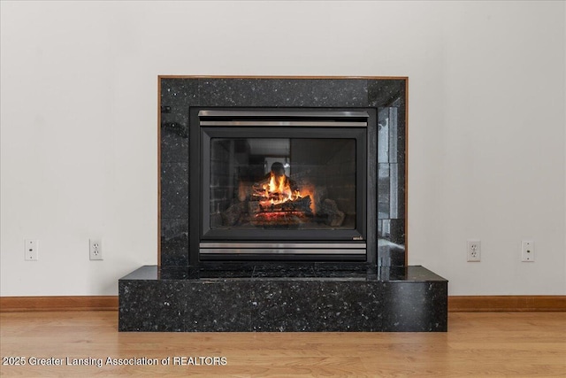 room details featuring a fireplace, baseboards, and wood finished floors