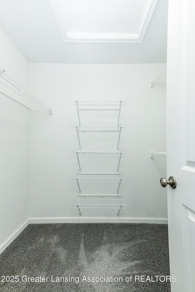 view of walk in closet