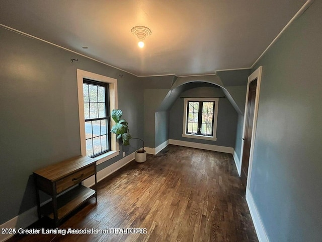 interior space with lofted ceiling, baseboards, and wood finished floors