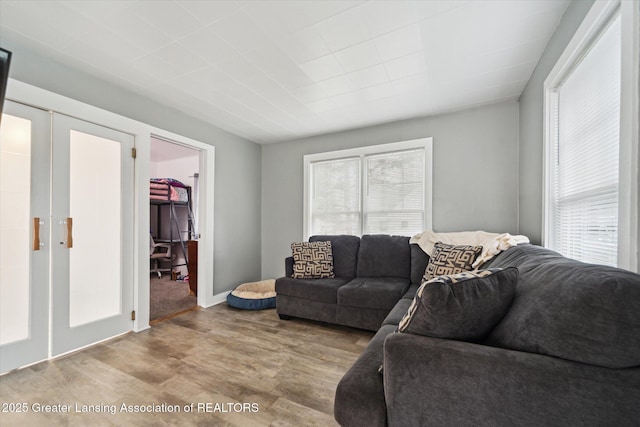 living room with french doors, wood finished floors, and a healthy amount of sunlight