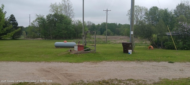 11173 W Bennett Rd, Sumner, MI 48889 - view of community with a lawn