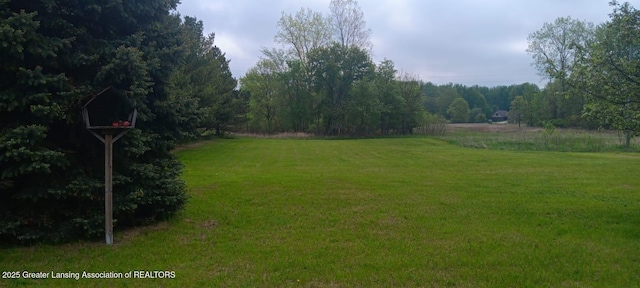 11173 W Bennett Rd, Sumner, MI 48889 - view of green lawn