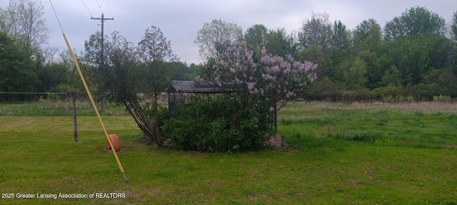 11173 W Bennett Rd, Sumner, MI 48889 - view of green lawn