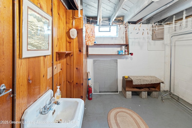 below grade area featuring concrete block wall and a sink