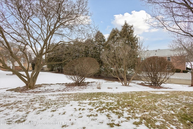 view of yard covered in snow