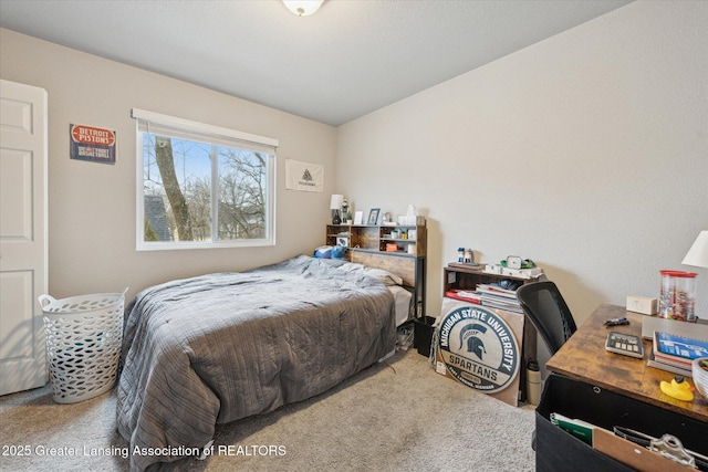 bedroom featuring carpet floors