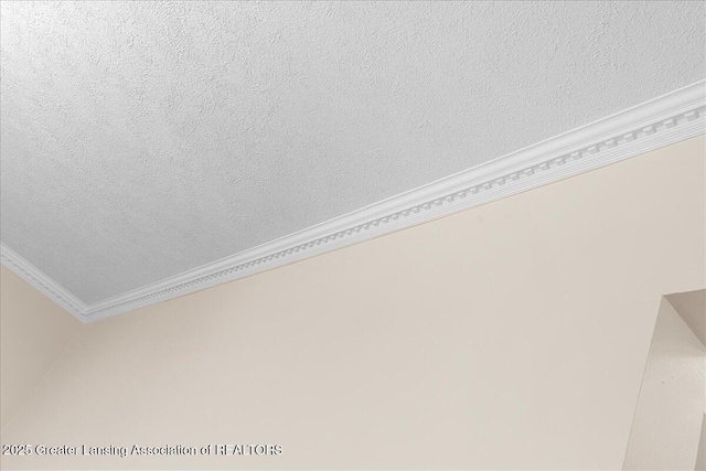 9840 W Herbison Rd, Eagle, MI 48822 - detailed view of crown molding and a textured ceiling