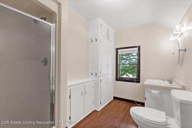 9840 W Herbison Rd, Eagle, MI 48822 - full bath with a shower stall, wood finished floors, lofted ceiling, and vanity