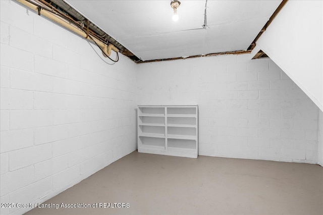 9840 W Herbison Rd, Eagle, MI 48822 - below grade area featuring concrete block wall