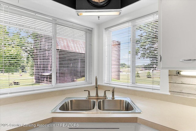 9840 W Herbison Rd, Eagle, MI 48822 - kitchen featuring a sink and light countertops