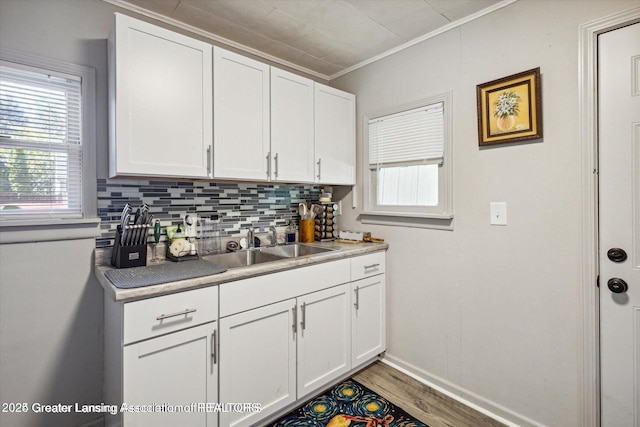 kitchen featuring wood finished floors, tasteful backsplash, a sink, and white cabinetry