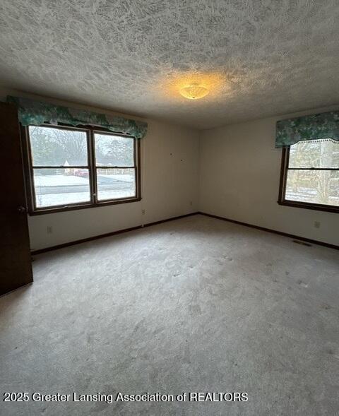 carpeted empty room with a textured ceiling, a wealth of natural light, and baseboards