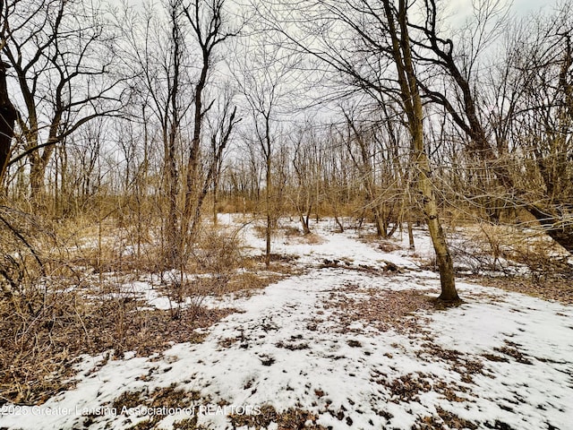 view of snowy landscape