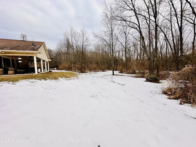 view of yard covered in snow