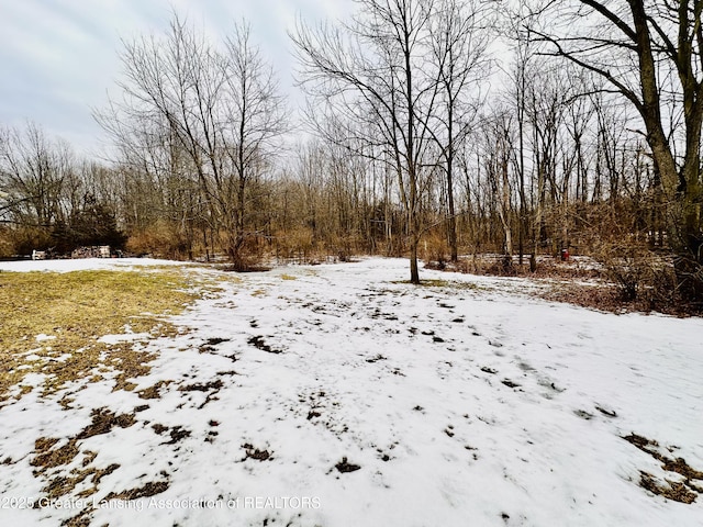 view of yard covered in snow