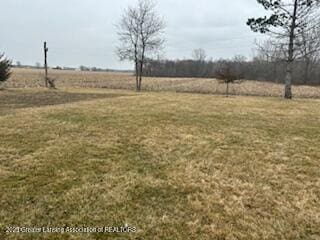 view of yard featuring a rural view