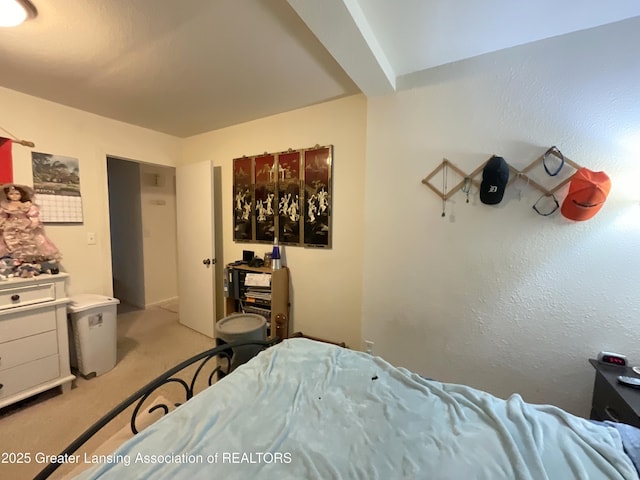 bedroom with light colored carpet