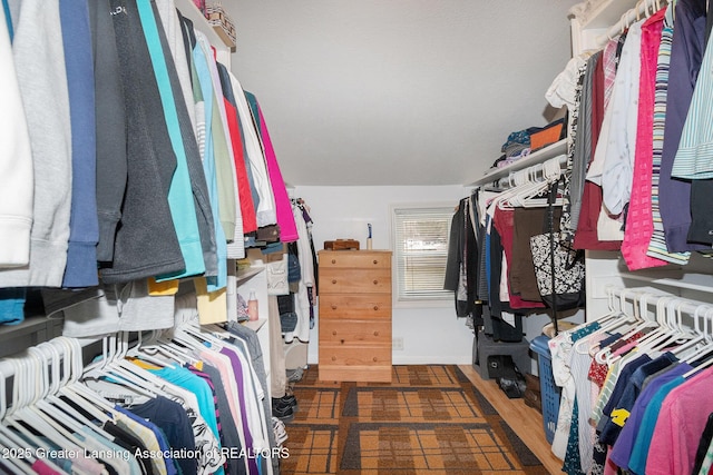 view of walk in closet