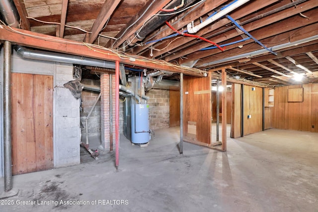 unfinished below grade area featuring gas water heater