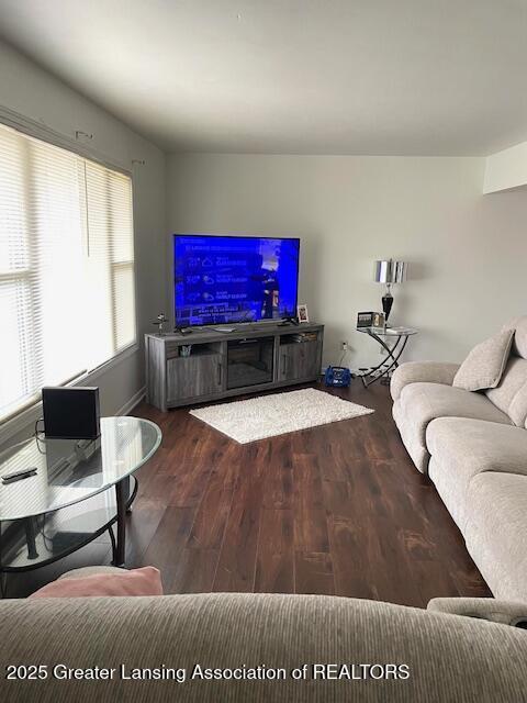 living room featuring wood finished floors