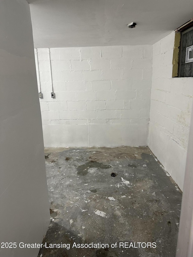 unfinished basement with concrete block wall